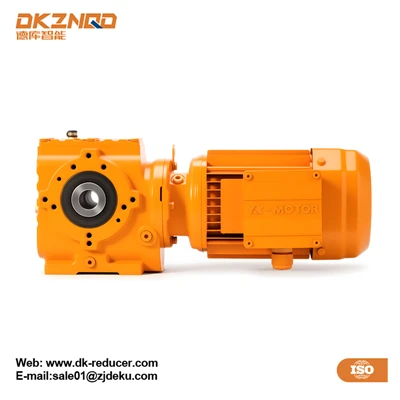 Gear Worm Motor