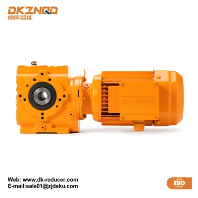 Worm Drive Electric Motor